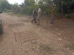 En marxa, el tercer any de l’estudi i seguiment de la tórtora comuna per part de la Territorial de Tarragona